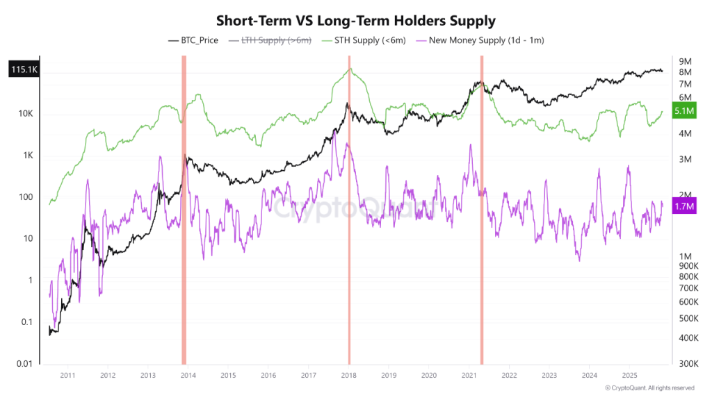 Bitcoin Price Prediction 2025: Why November Could Be the Jackpot Month for the Next Bull Run
