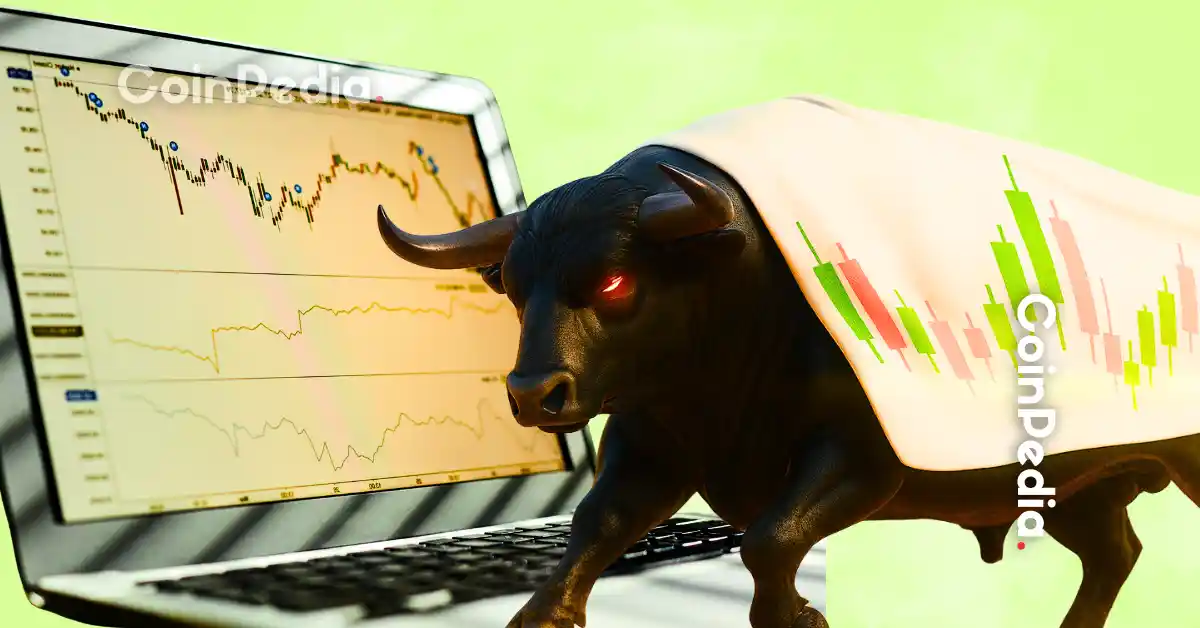 XPL Price