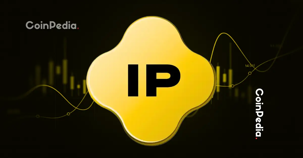 Story IP Price