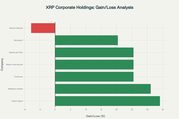 XRP Corporate Holdings