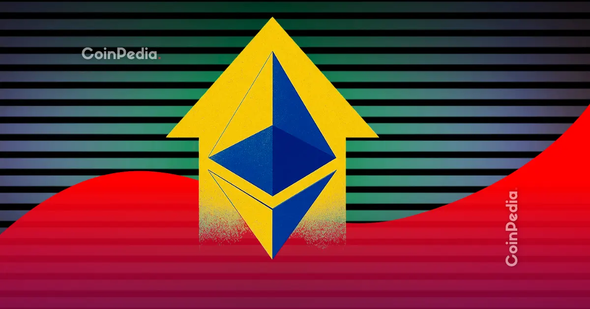 Ethereum treasury collapse 2025