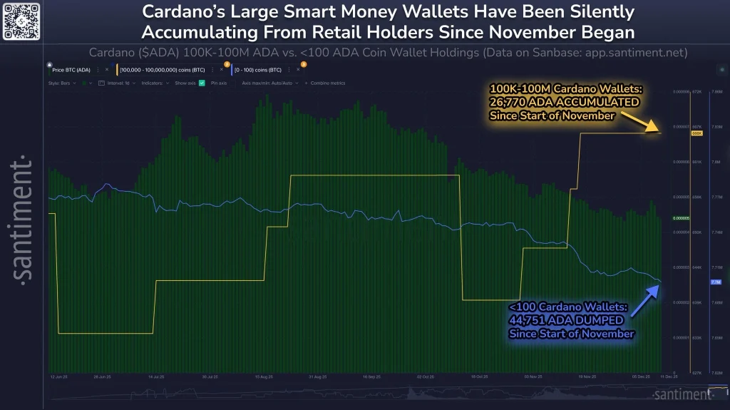 ada onchain activity 