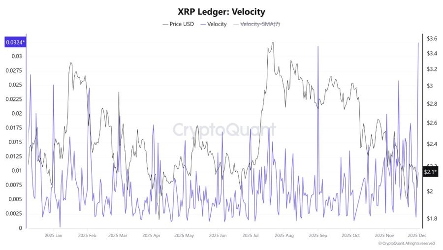 XRP ledger velocity
