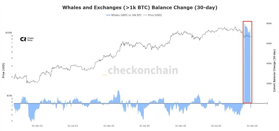 bitcoin whale chart