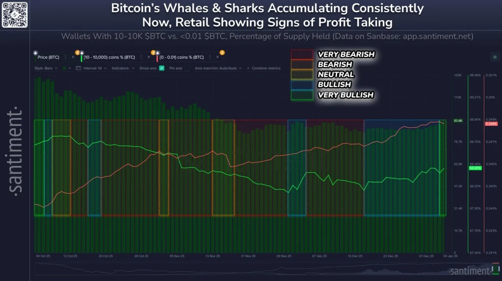 BTC whales