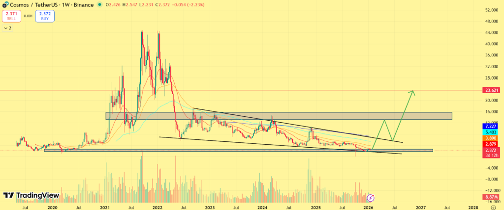 Cosmos Price Performance in 2025