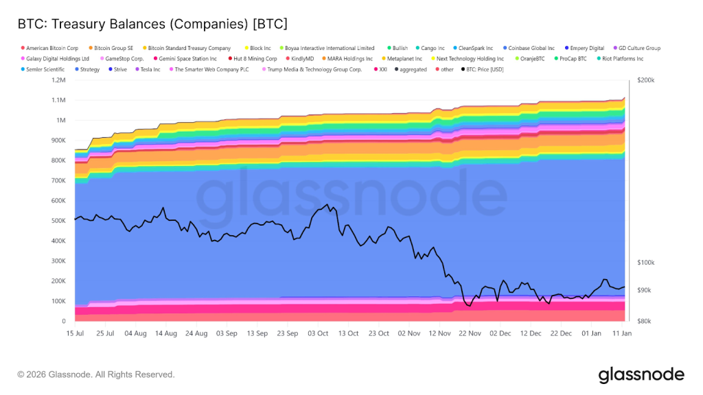 BTC Treasury Balances Companies