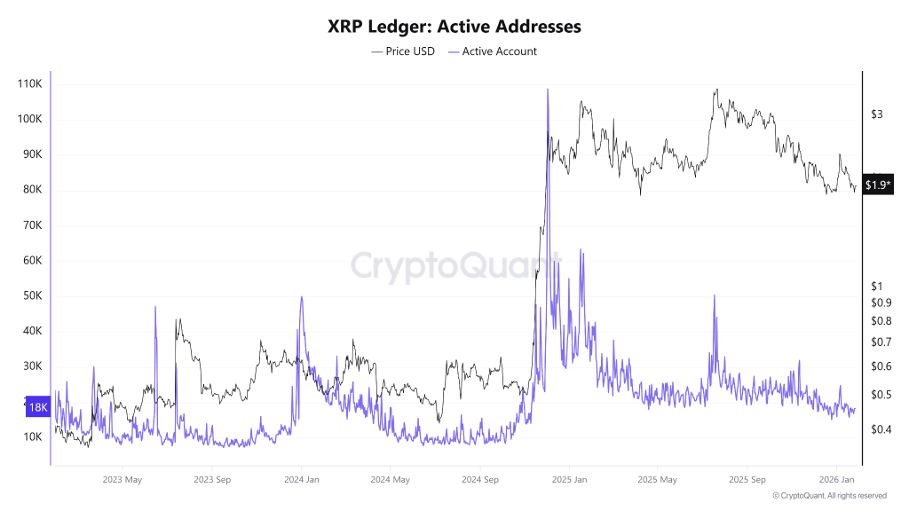 XRP Ledger activity