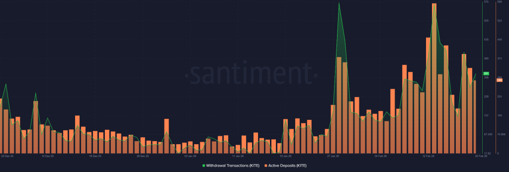 KITE crypto On-Chain Data Signals Aggressive Expansion as Whale Activity and Volume Surge 