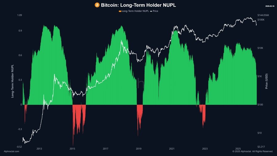 bitcoin bull run NUPL