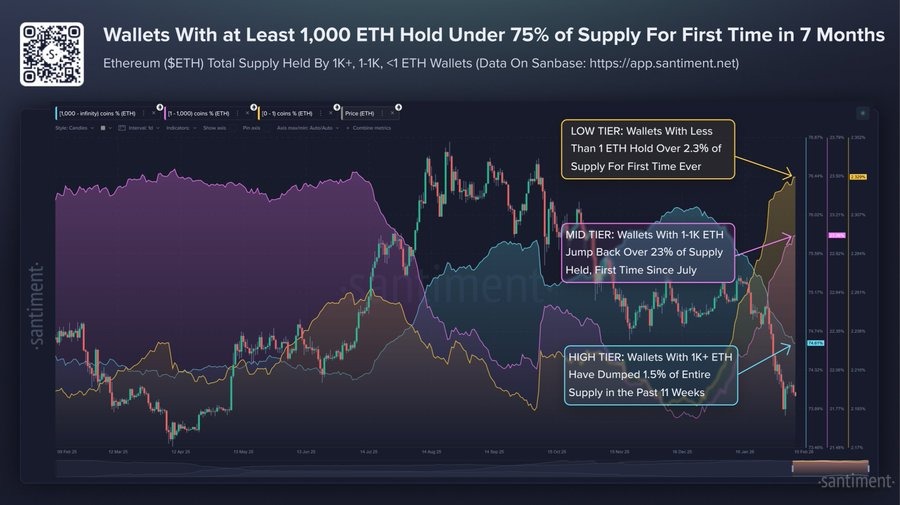 Ethereum Big Holders Reduce ETH Supply Control