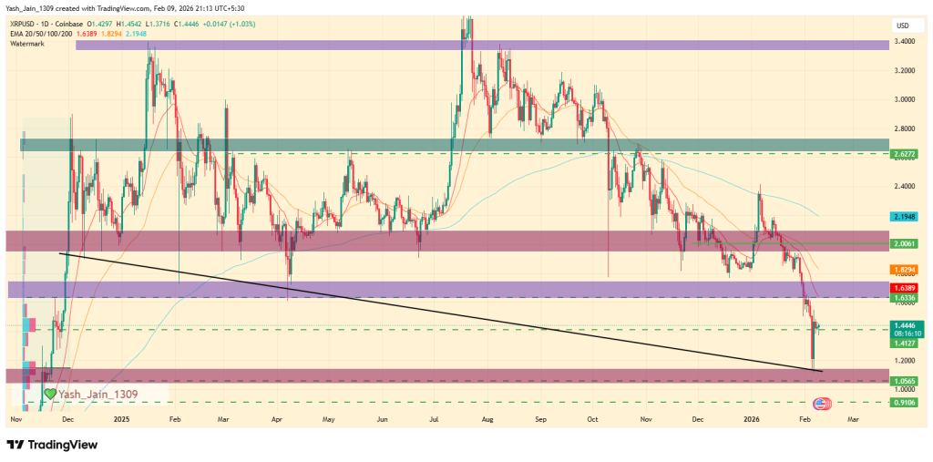 Mega Whales Turned Bearish: Is $1.00 the Real Risk Level for XRP price? 