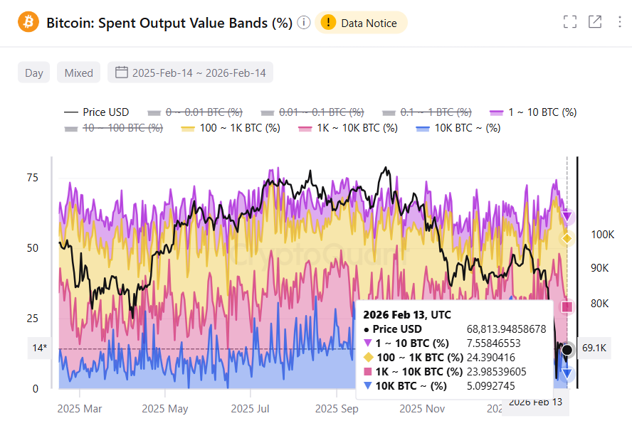 Cryptoquant bitcoin whale data