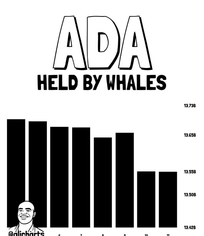 ADA whales data
