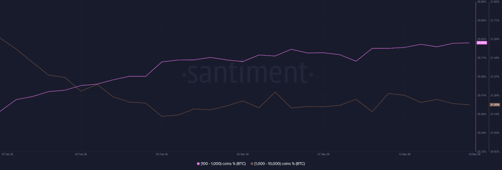 Bitcoin NUPL Signals Possible Bull Trap as Whale Distribution Grows