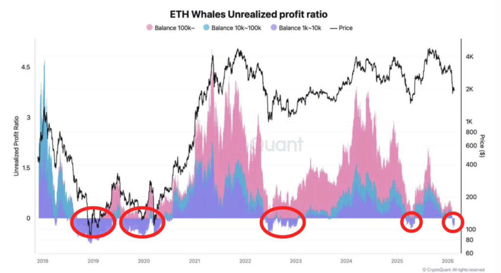 ETH whales data