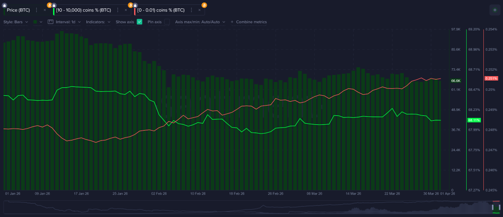 Crypto Market March 2026: War, Whales, and Whiplash Define the Month 