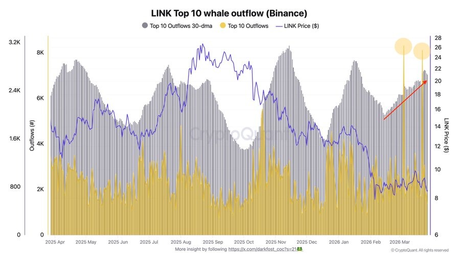 Chainlink Whale Activity Surges as Binance Outflows Rise