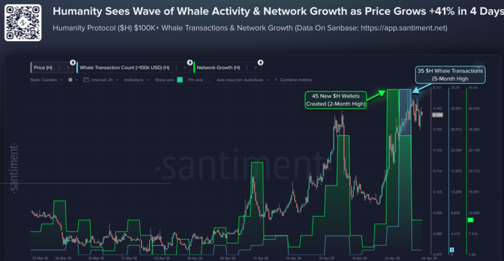 Humanity protocol whales data