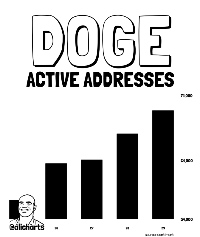 Dogecoin on-chain data