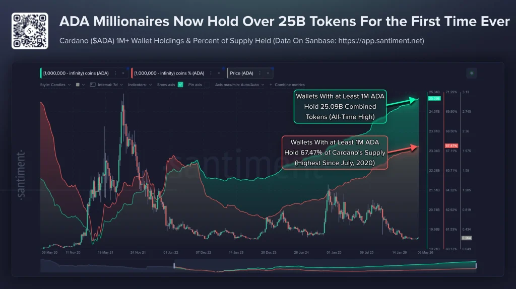 cardano price