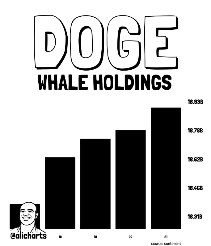 Dogecoin whales data