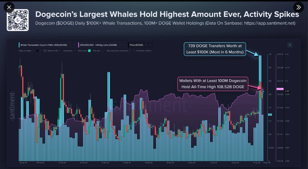 Dogecoin whales accumulation metrics
