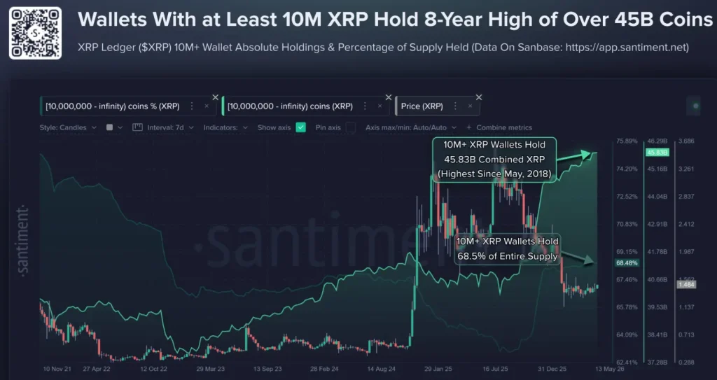 XRP whales data