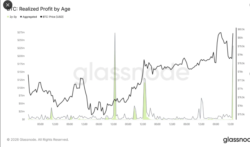 Bitcoin realized profit for 2-3 year holders