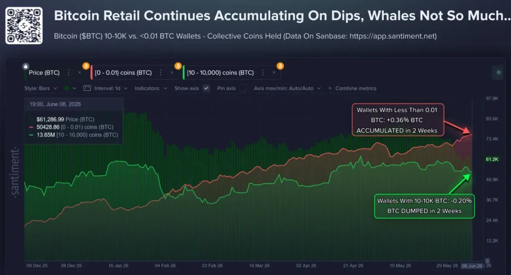 Bitcoin whales data