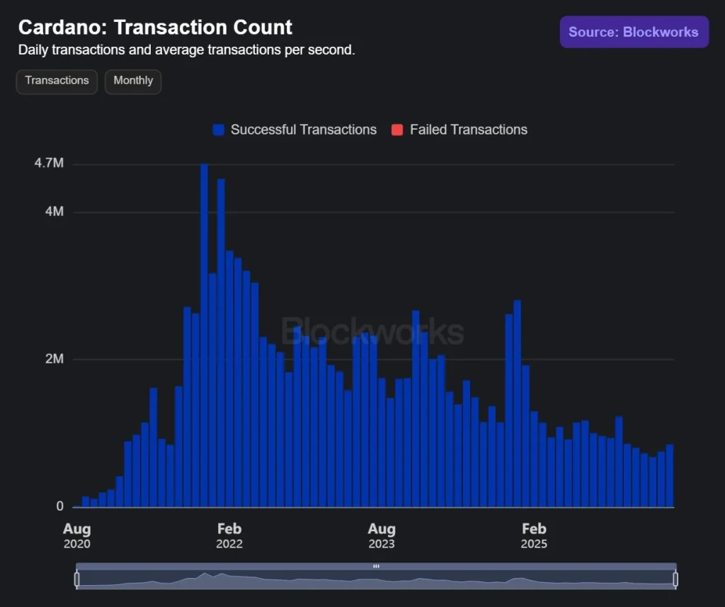 cardano transaction