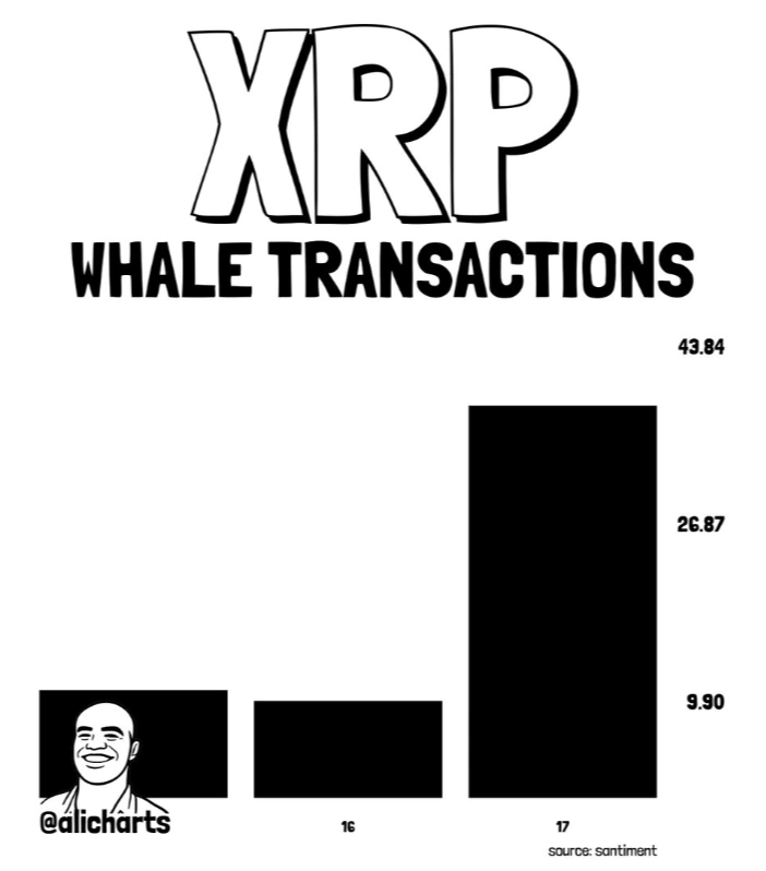 XRP whale data