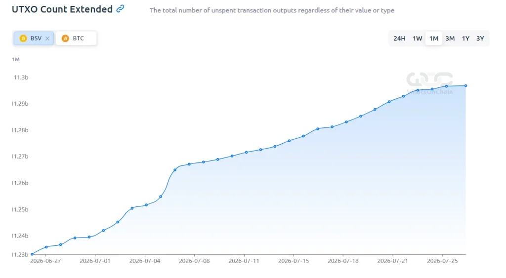 Bitcoin SV Onchain Analysis 2026