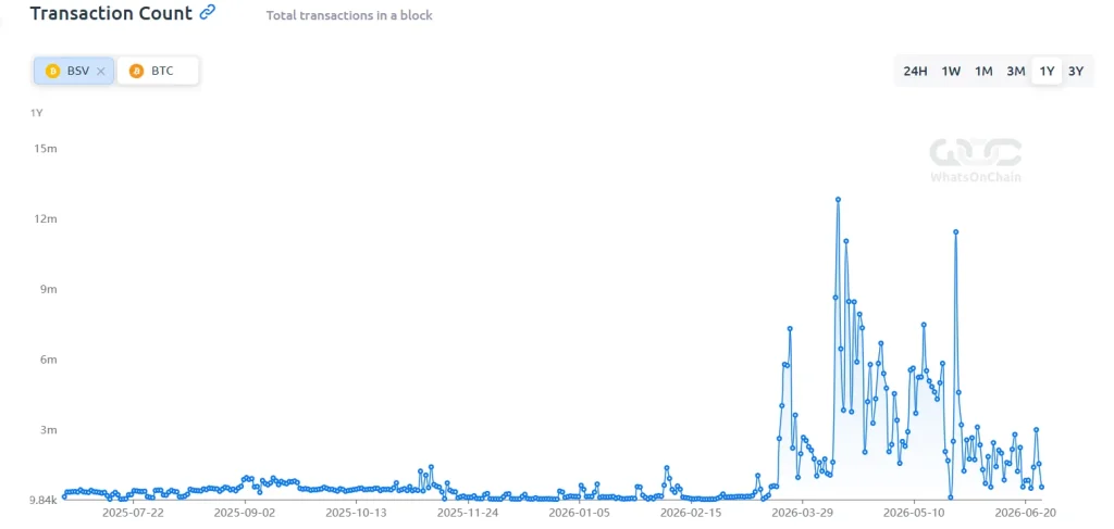 Bitcoin SV Onchain Analysis 2026