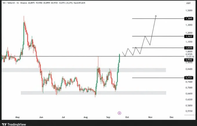 SUI Price Needs $0.9725 To Hold